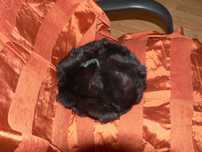 Caciula neagra , noua,  iepure siberian
