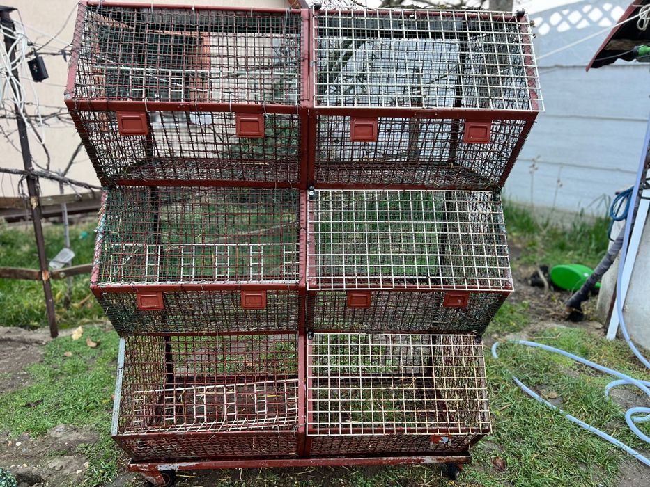 Cușcă Iepuri din fier