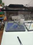 Acvariu reptile rozatoare pesti si cutie transport