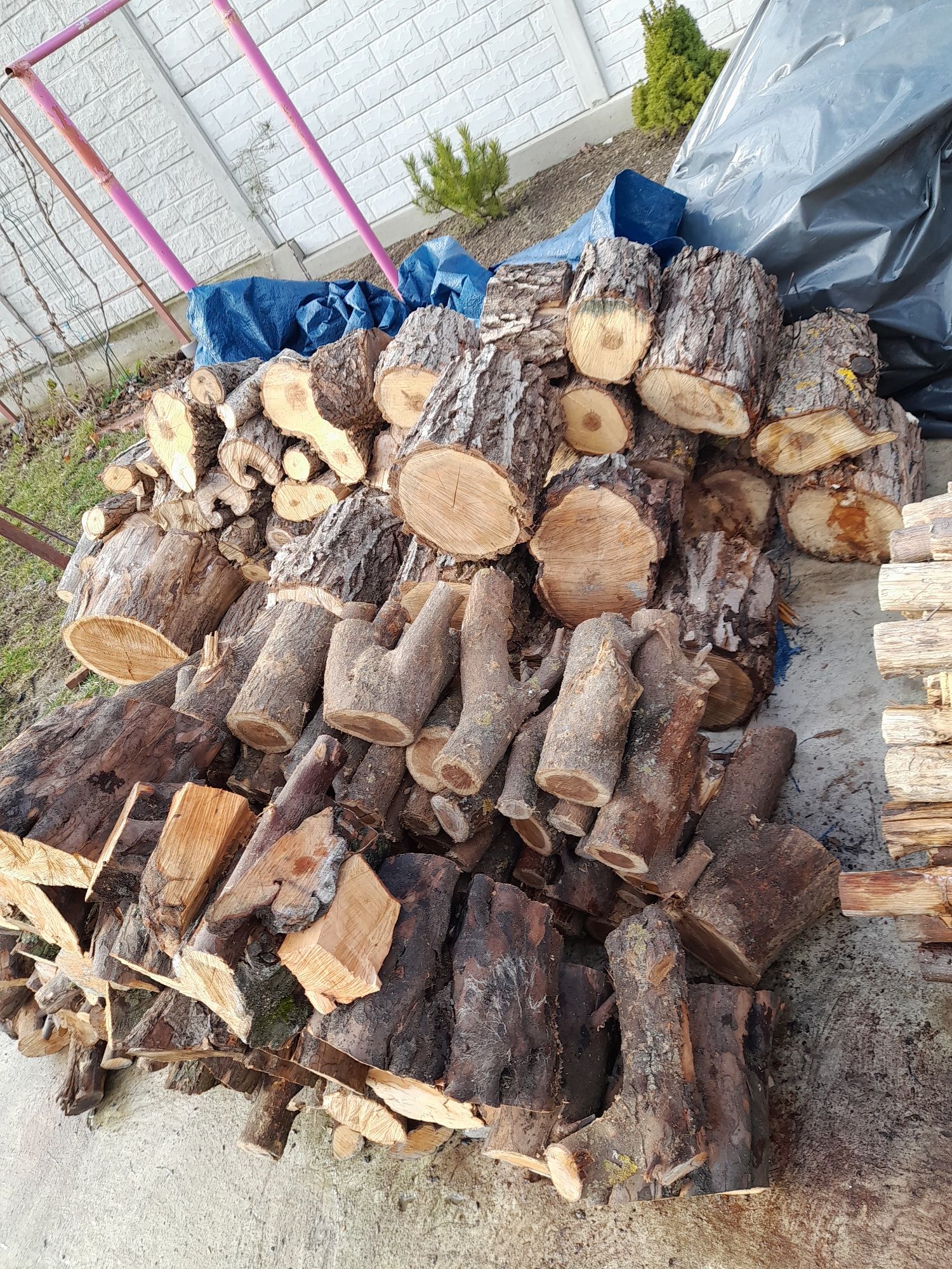 Toate lemnele 950 Lei