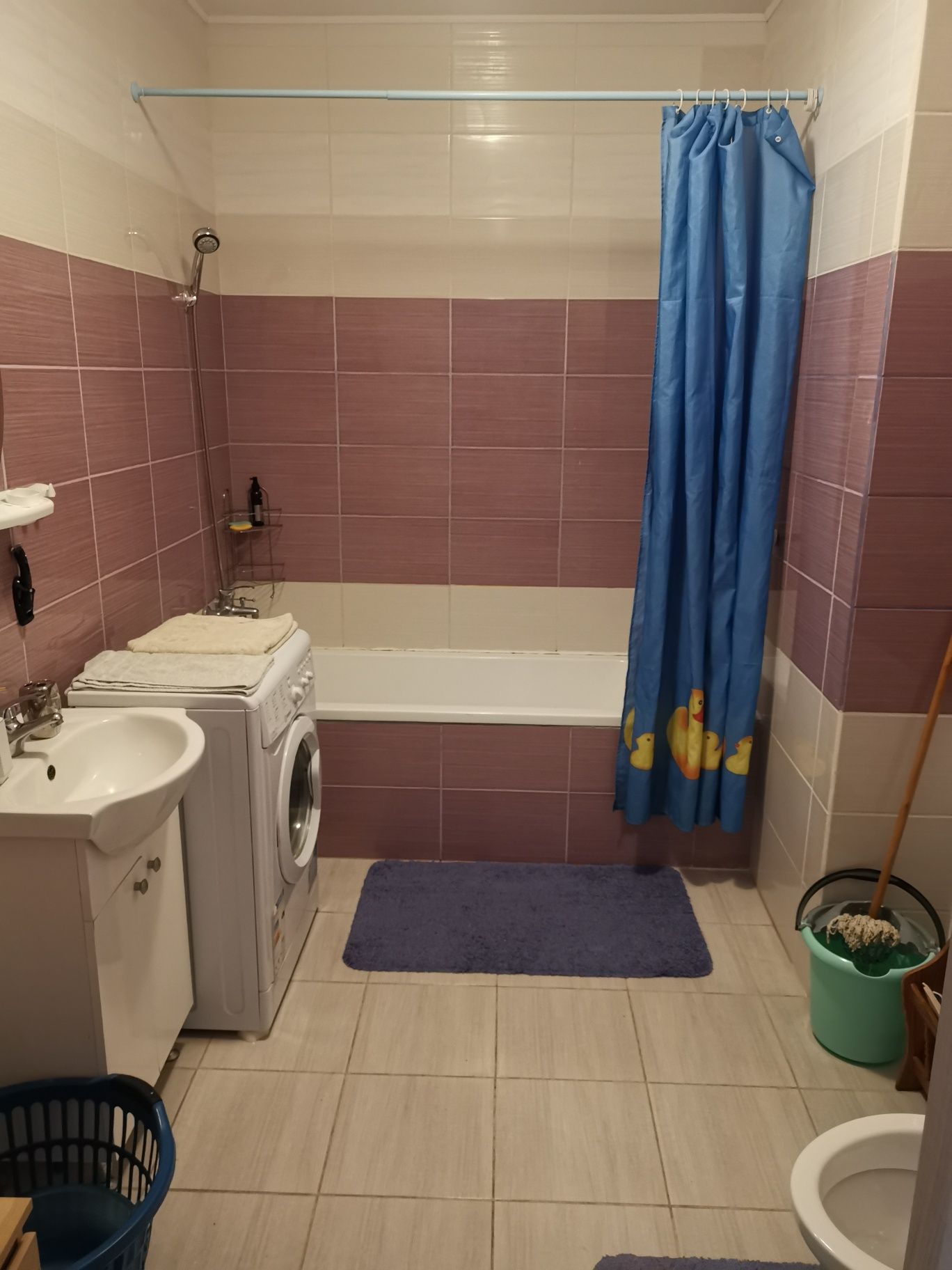 Chirie sau Regim hotelier apartament cu o camera Ared R29