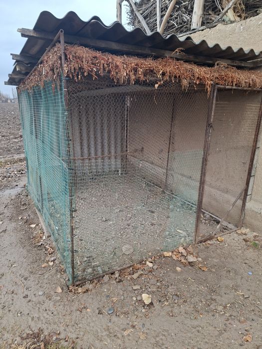 Tovuq katagi uyi sotiladi