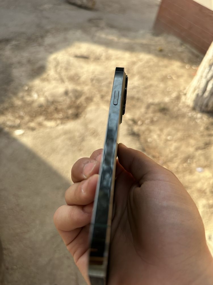 13 pro max 256 gb