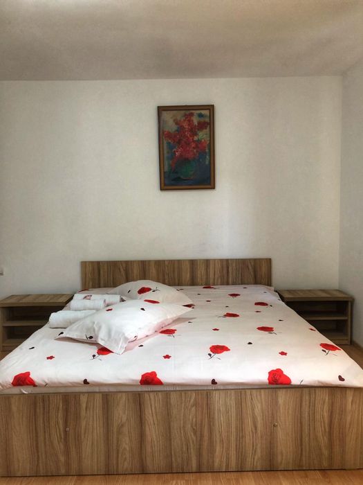 Crăciun-Pensiunea Ovitur