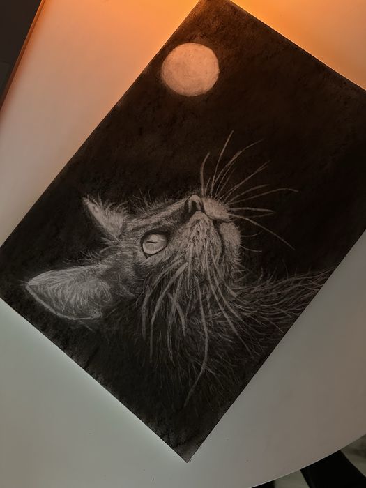 Desene alb negru animale-portret la comanda