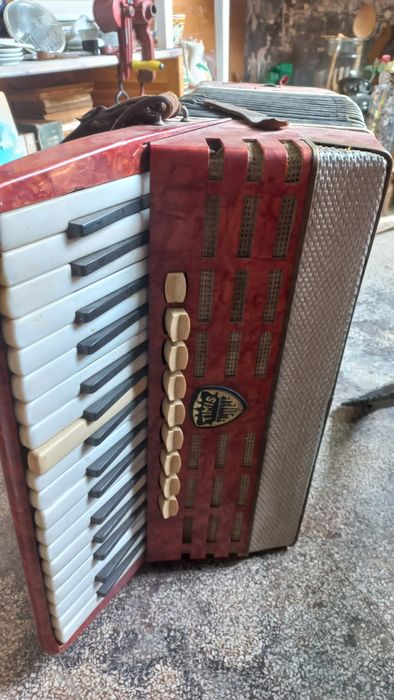 Acordeon romanesc Timis