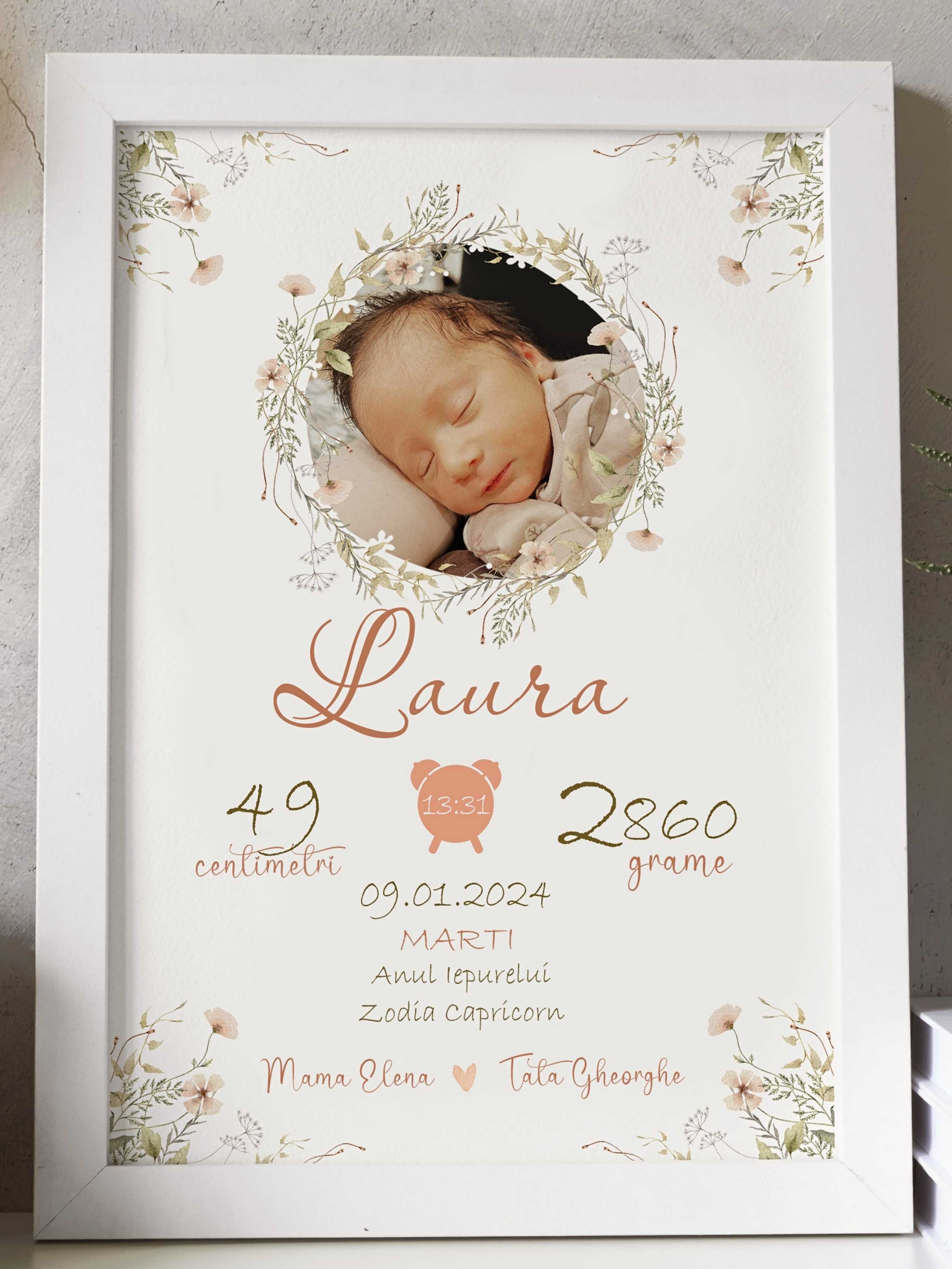 Baby birth poster