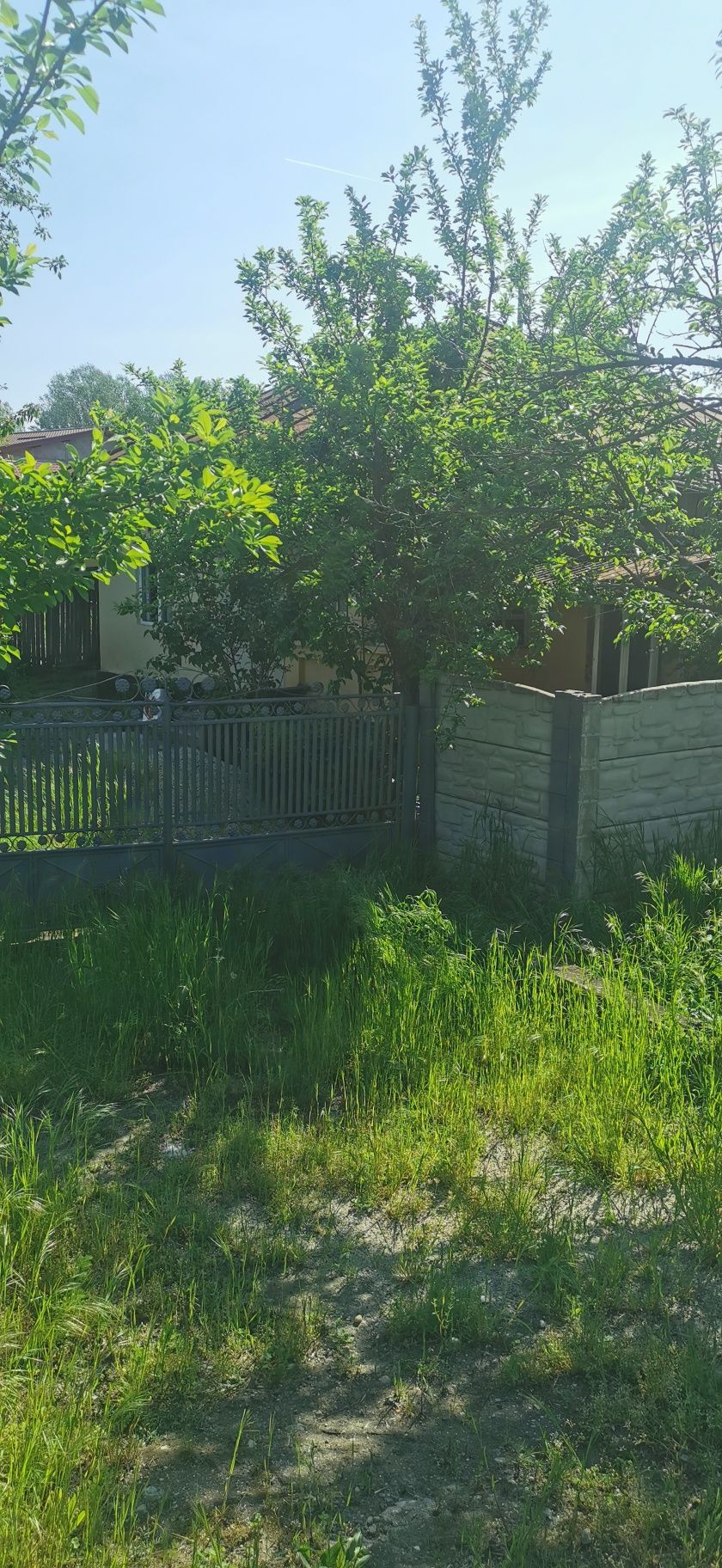 Casa in Bălcești