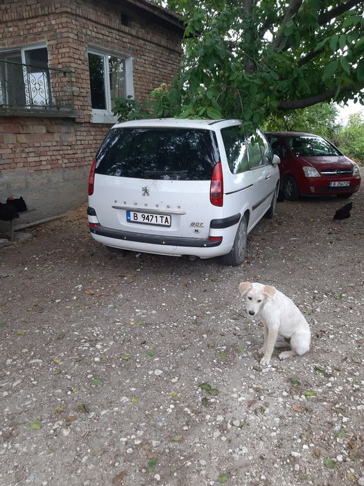 Пежо 807  за части може и цяла