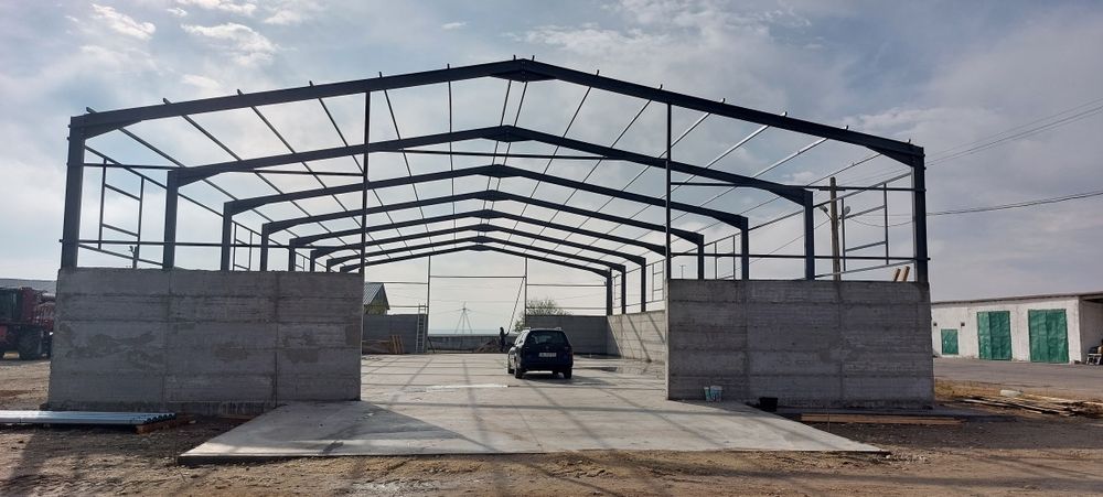 Vand structuri metalice tip hala 12*20