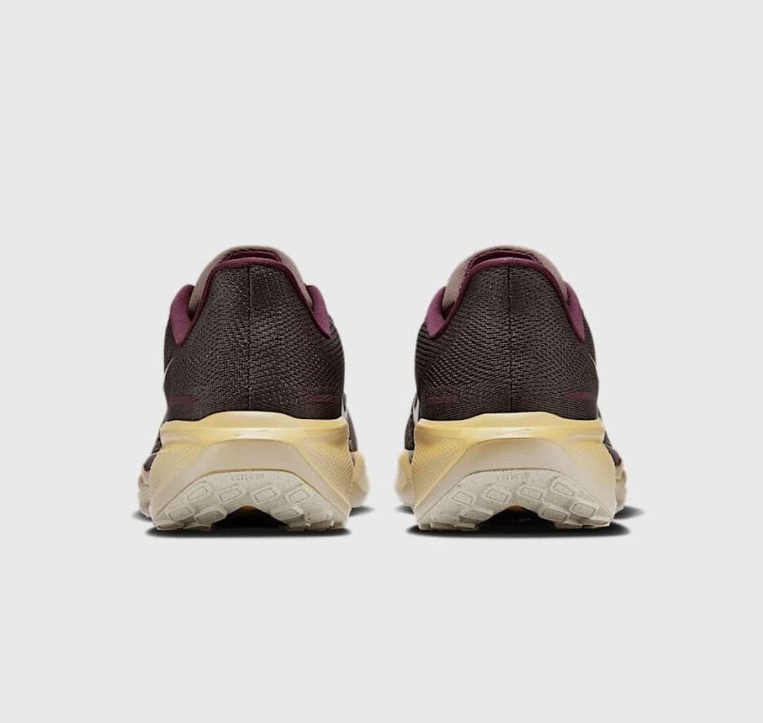 Nike Pegasus 41 original