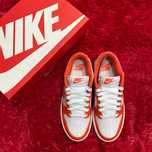 Nike Dunk Low "Paisley" sneakers