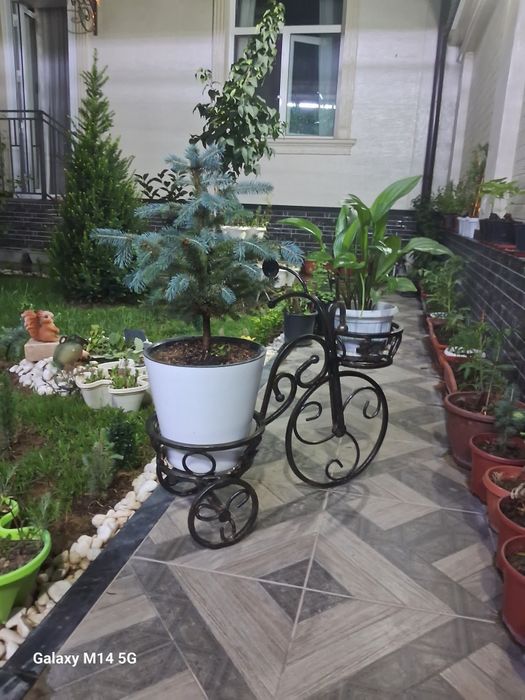 Подставка для цветов!!!