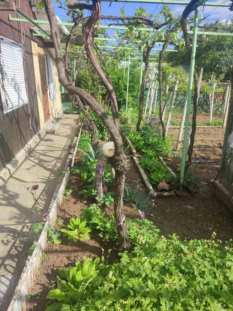 Продава се Къща в с. Копринка, Област Стара Загора - 35 кв.м за 510 €/кв.м - Снимка #3