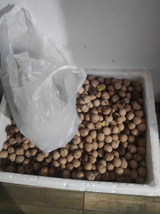 Продам орех грецкий неочищенный