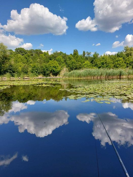 Vila cu ponton la lacul Snagov