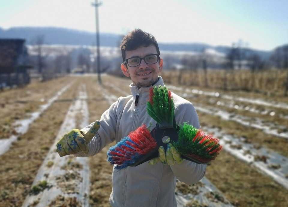 Dispozitiv pentru curățarea  frunzelor de capsuni primavara