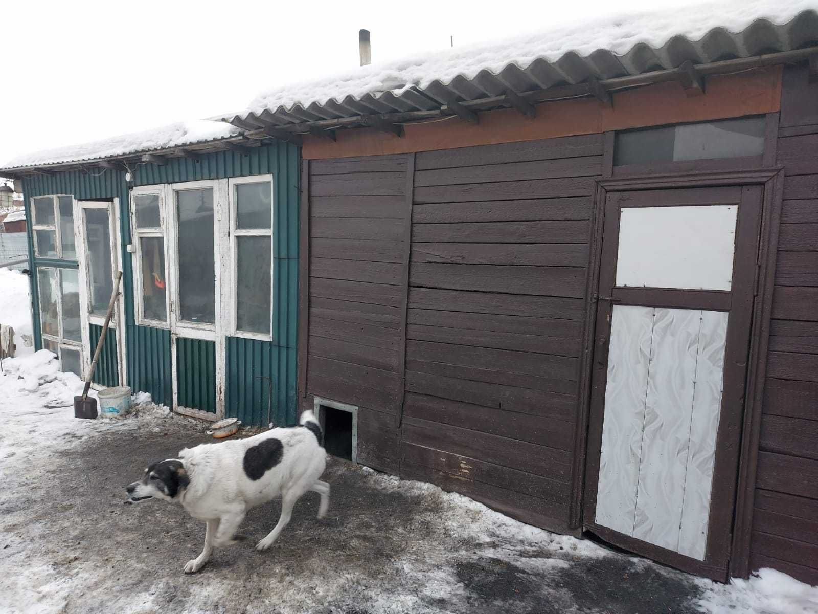 Продам бревенчатый дом