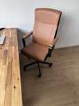 Scaun rotativ, Murum maro-auriu