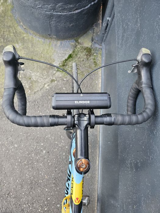 Semicursiera viking
