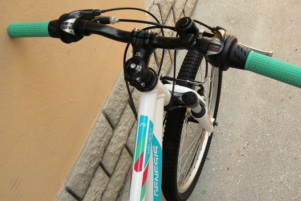 Bicicleta mountain bike de copii Genesis 24