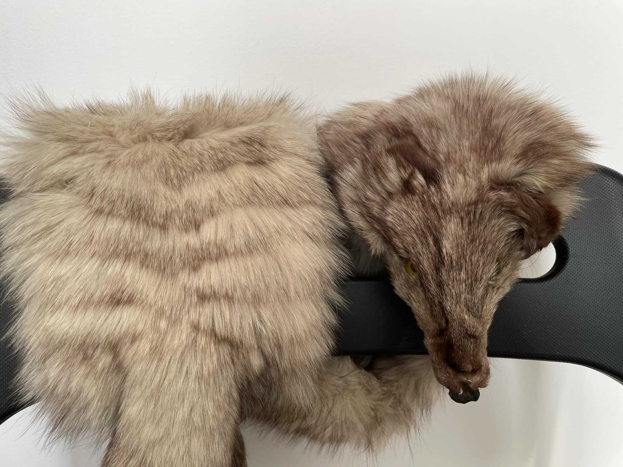 Accesorii blana naturala nurcă, vulpe argintie, lup