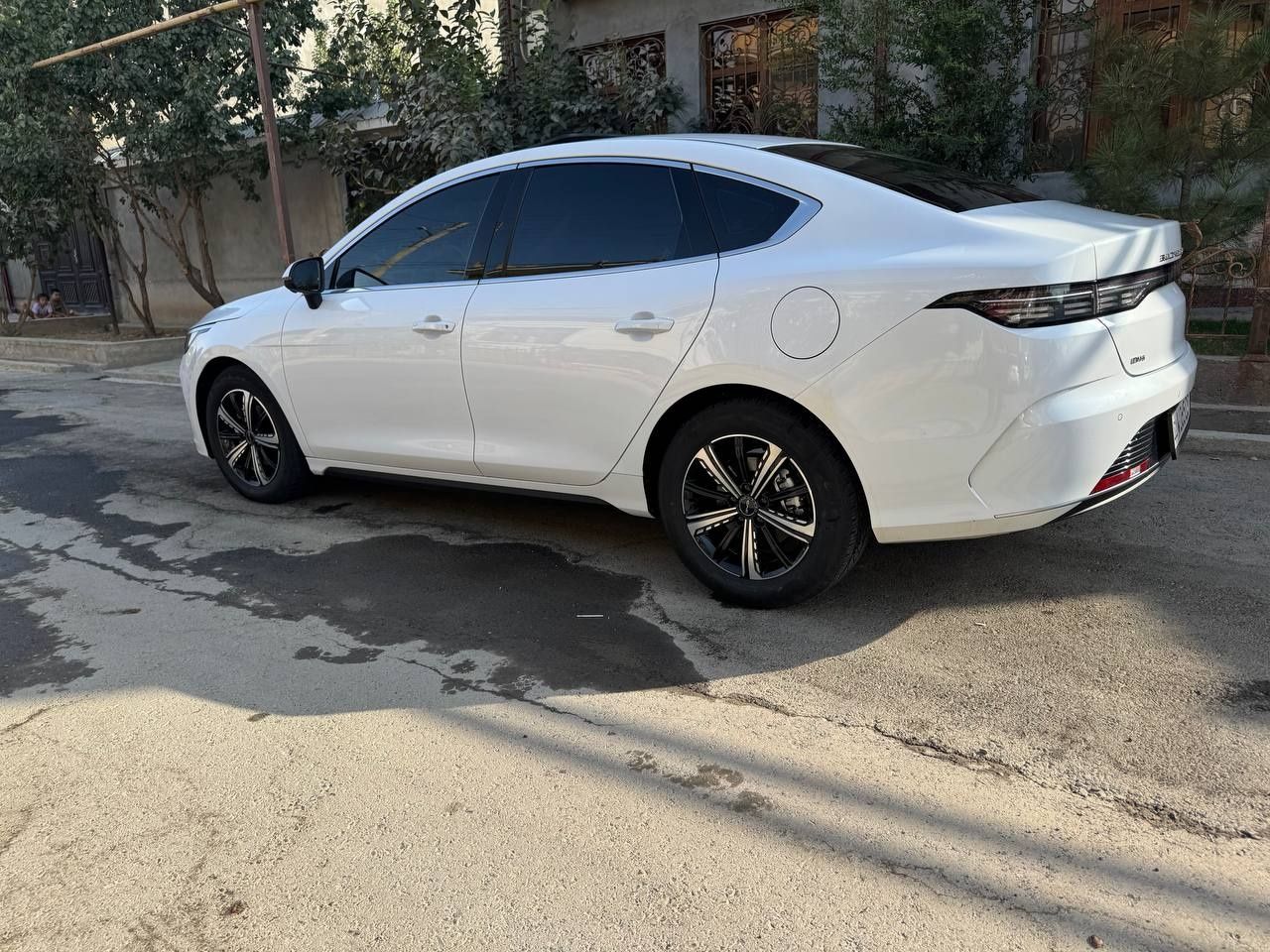 BYD Chazor Arenda s vikupom