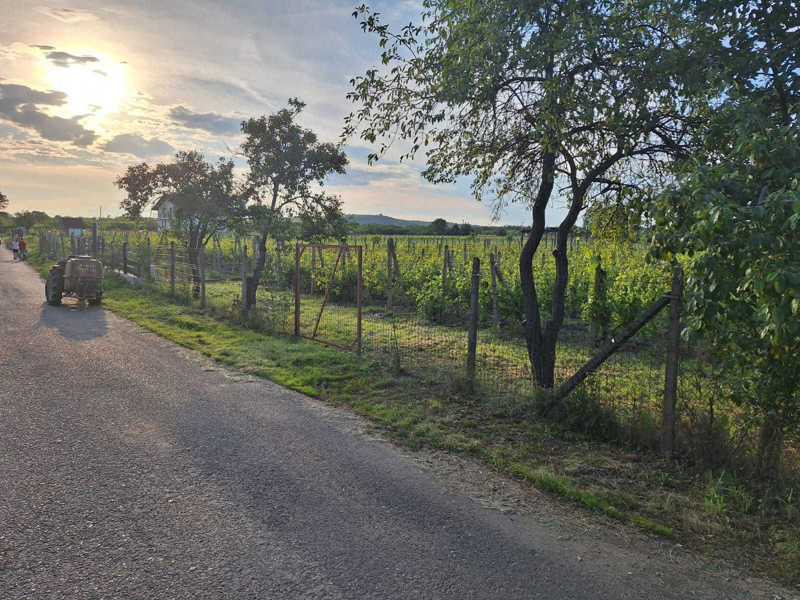 2700 mp teren intravilan valea călugărească