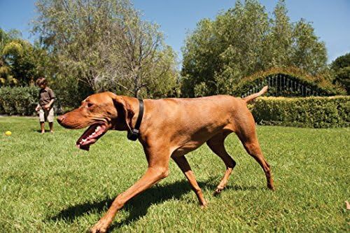 PetSafe, Компактна безжична ограда за бягство Stay & Play с презарежда