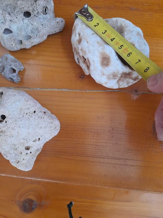 pietre si scoici pentru decoratiuni și acvariu