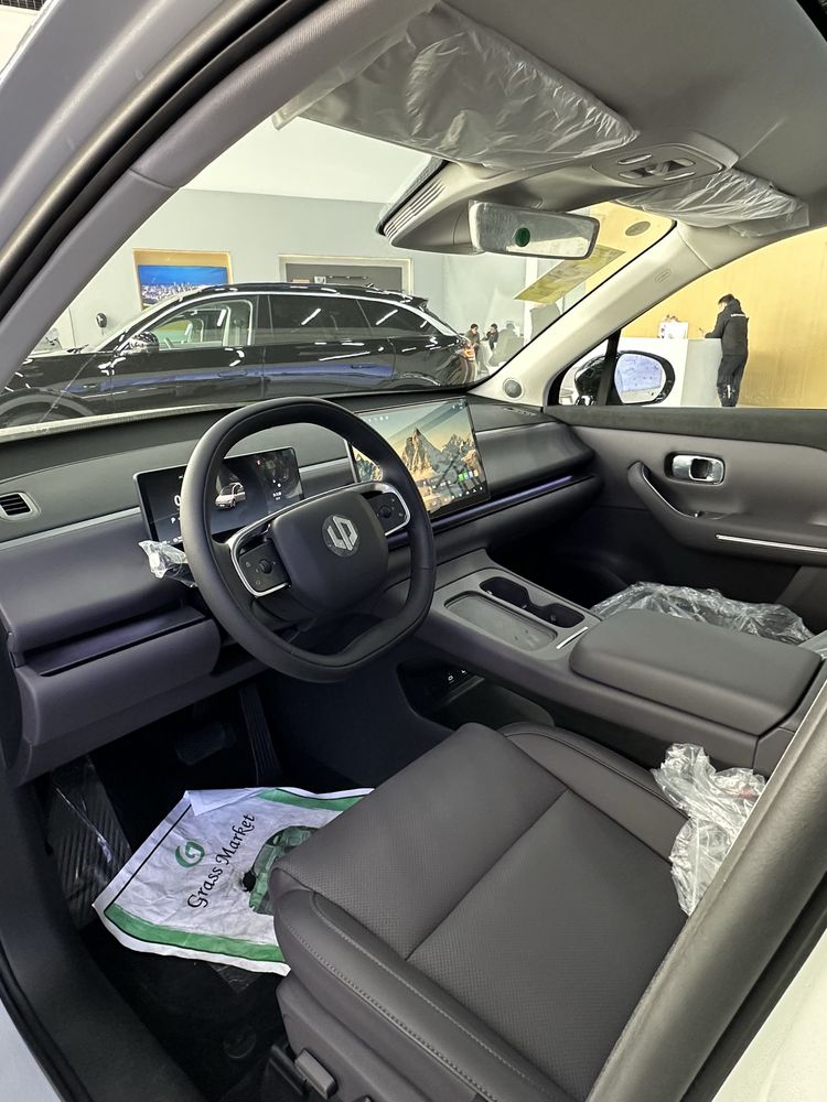 LeapMotor C10 hybrit