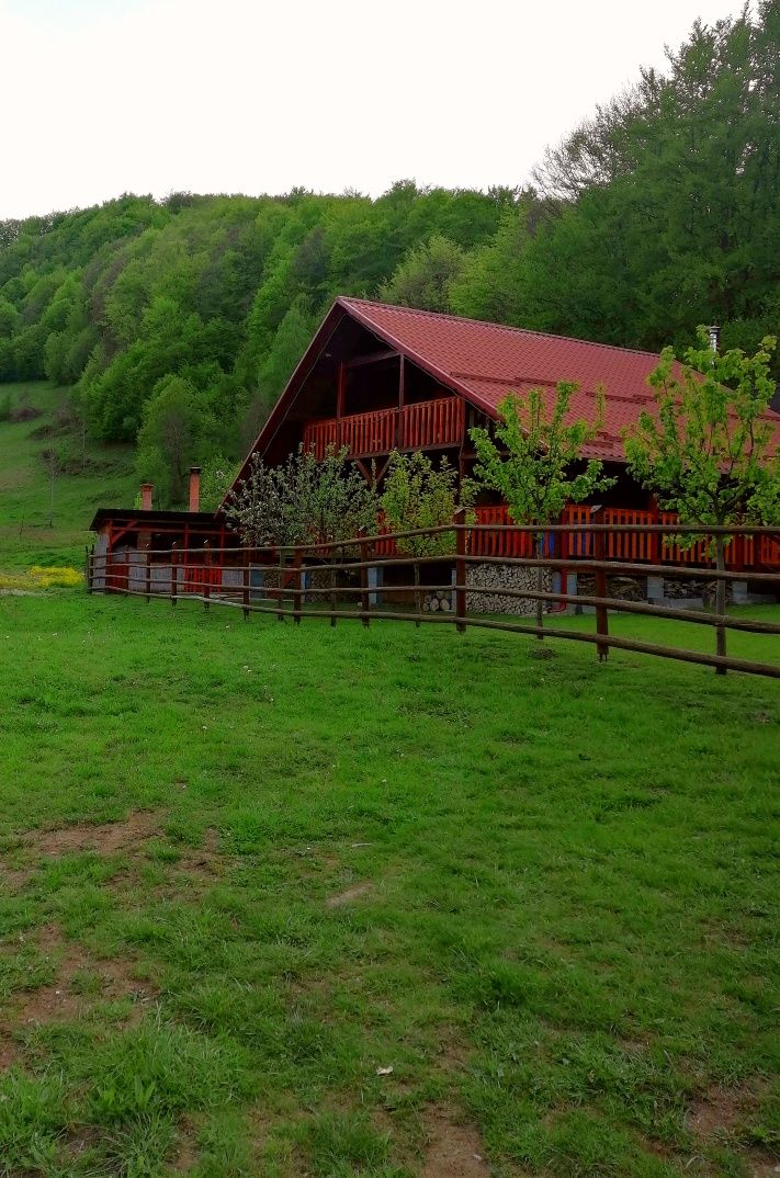 Cabana de închiriat Rimet, jud. Alba