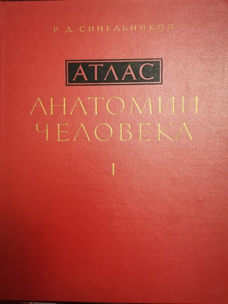 Атлас Анатомии человека, том I