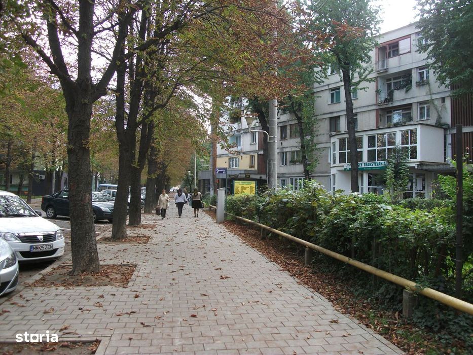 G. Cosbuc - zona Culturii, apartament 2 camere, etajul 2!