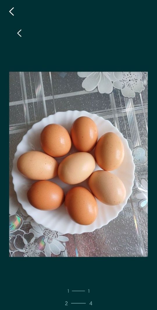 Яйцо куриное домашнее