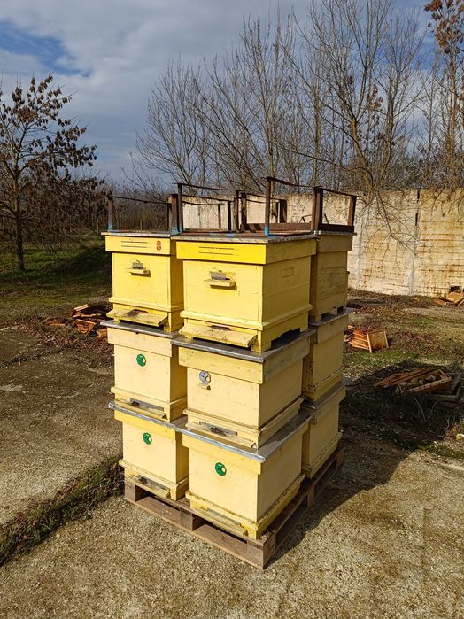 Пчелни кошери с магазини