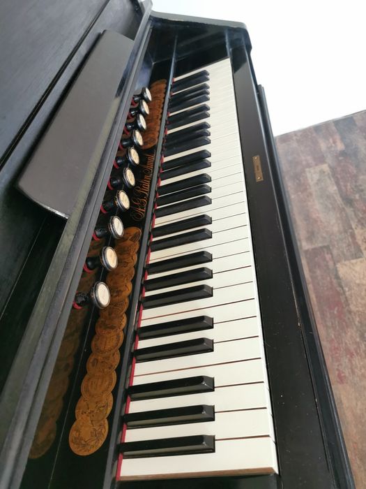 Orga armonium A.G. Rålin, Åmål (Suedia), sec. XIX – funcțională