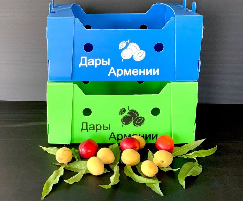 Gofra plastic qutilar