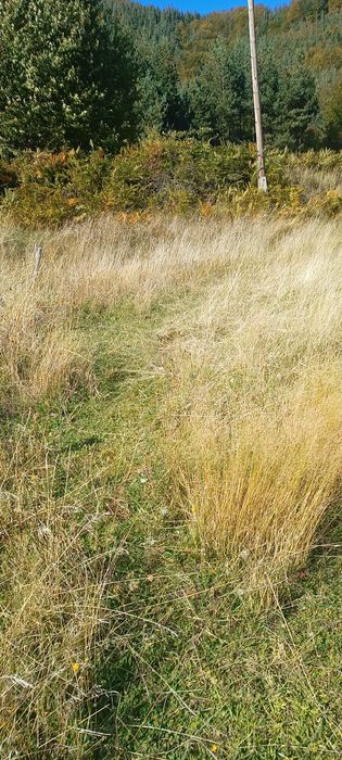 Продава се Земеделски имот в с. Сивино, Област Смолян -  кв.м за 1900 €/дка - Снимка #11