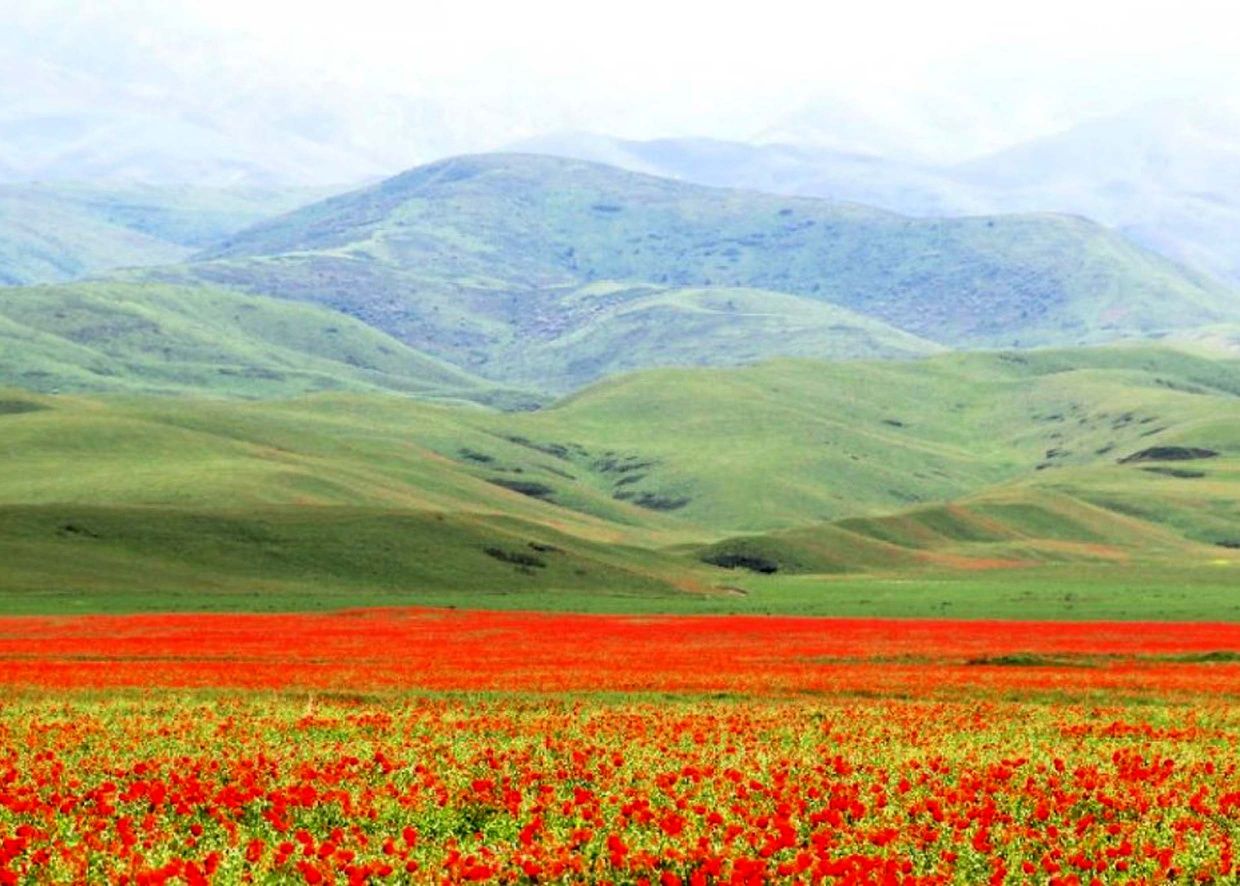 Конный тур теперь и в Самарканде