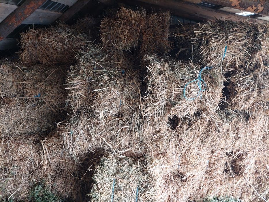 Baloti lucerna coasa 1 si 2