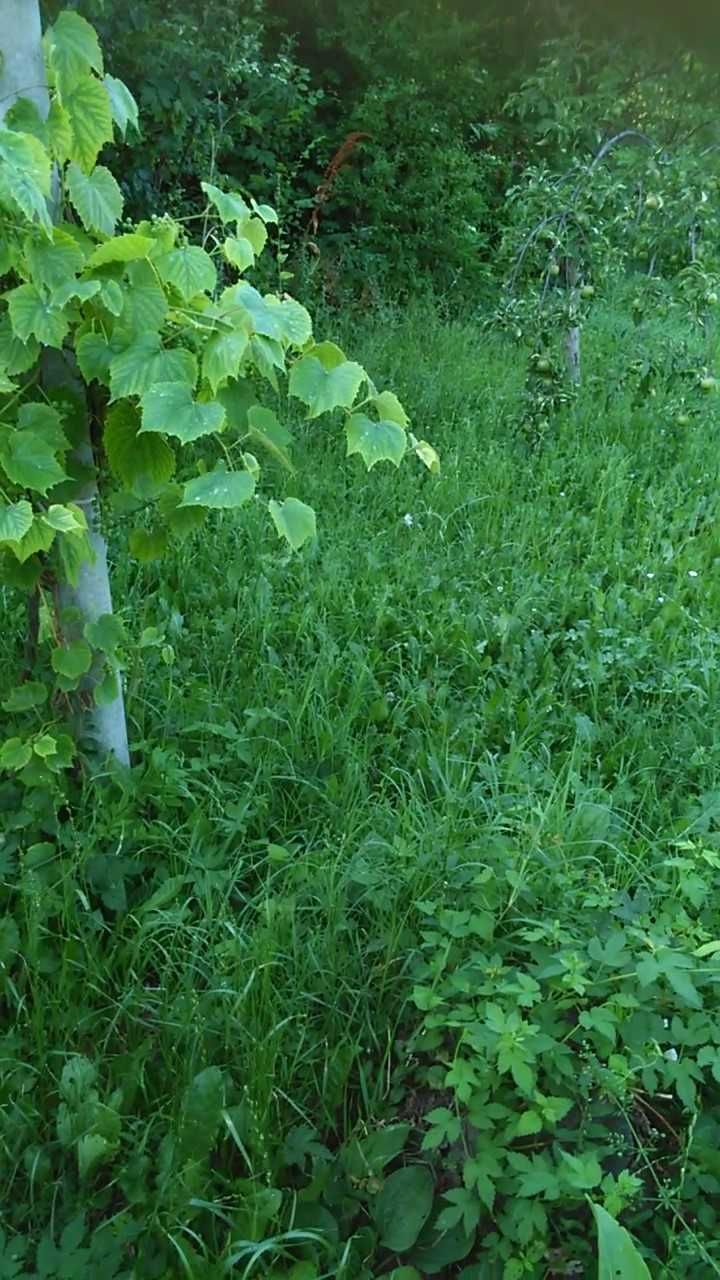 Къща с двор в село Буря община Севлиево