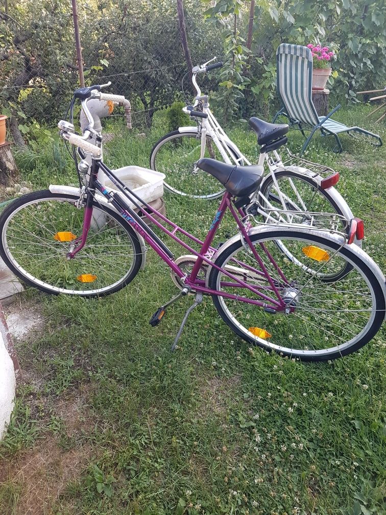 Vand doua biciclete Pegasus din aluminiu la pret de una