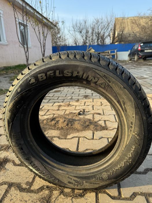зимняя резина BELSHINA липучка