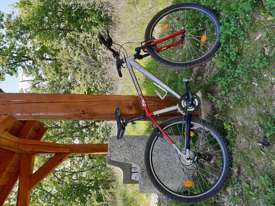 Montainbike Rockreider 5.2