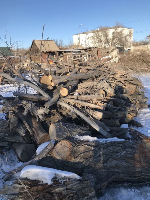 Продам дрова карагач