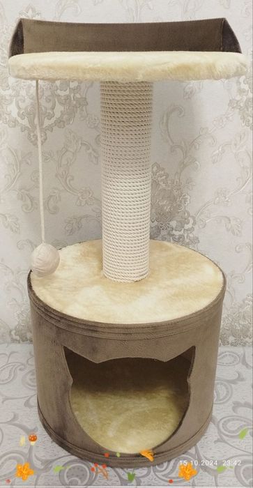 Кашачи доммики сотилади