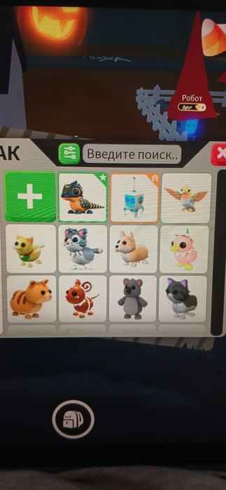 Продаю петов, адопт ми