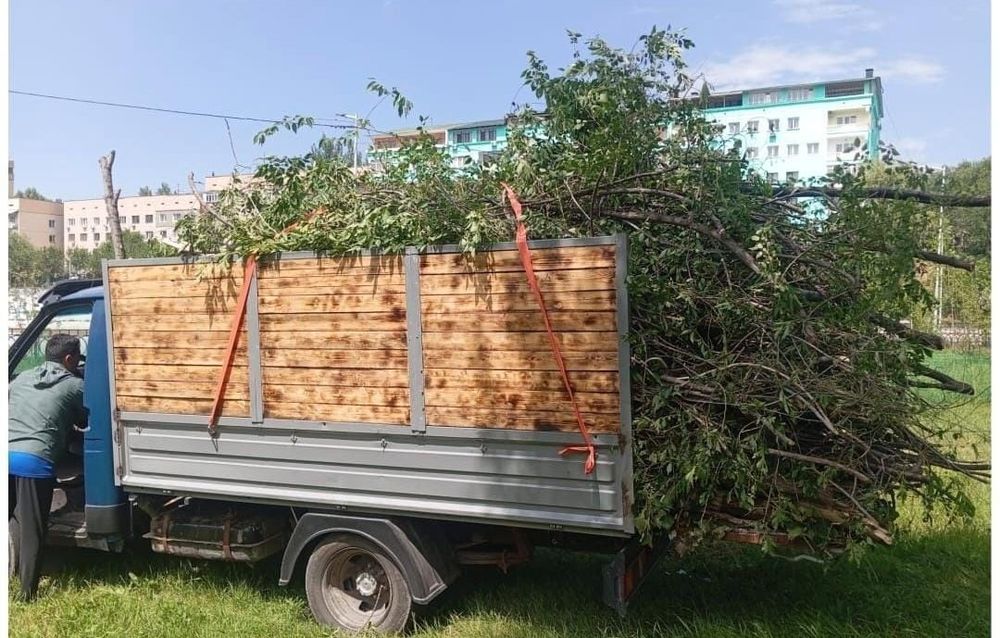 Вывоз мусора недорого