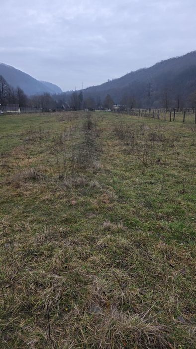 Vand teren intravilan in Pascoaia cu acces din DN  7 A